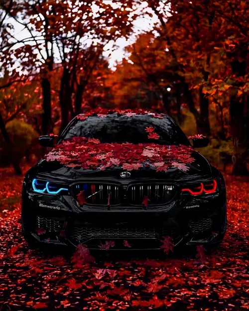 Qara BMW şəkilləri