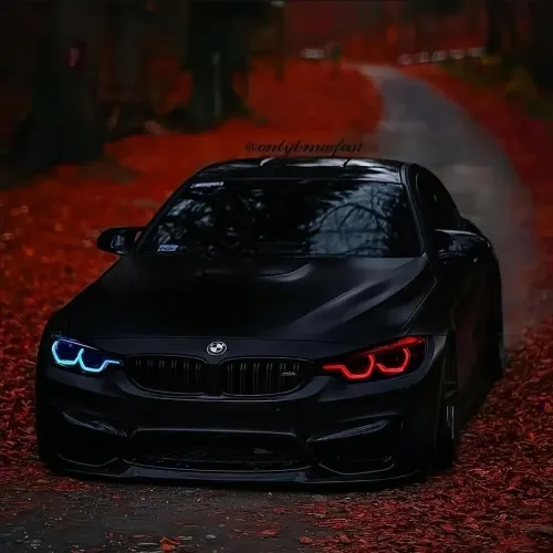 Qara bmw sekilleri