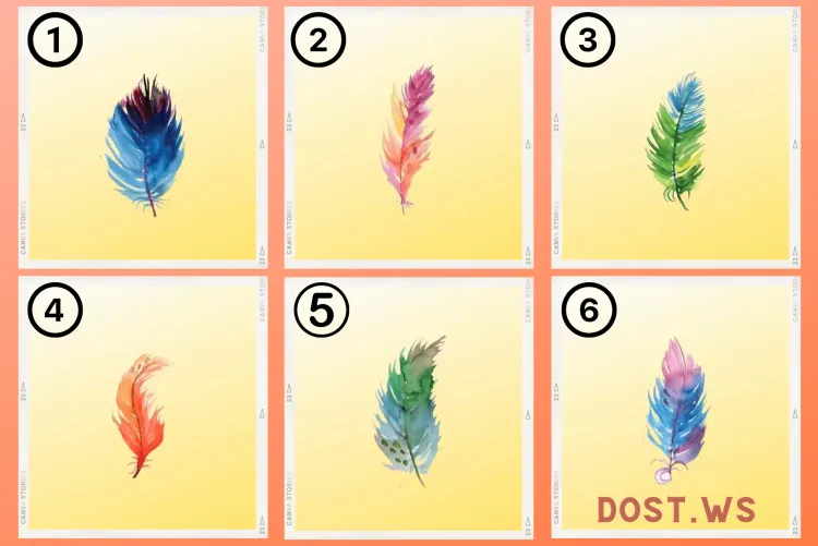 Resimdeki Tüylerden Birini Seç Ve Senin Hayatta En Çok İstediğin Şeyi Ortaya Çıkaralım!