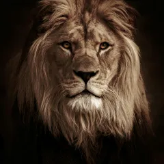 Leon